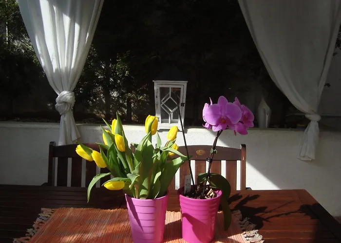 Apartment Villa Holiday II